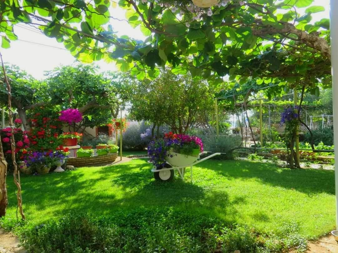 Beach Apartment Roza Biograd Oneroom - Premium Location Biograd Na Moru Extérieur photo