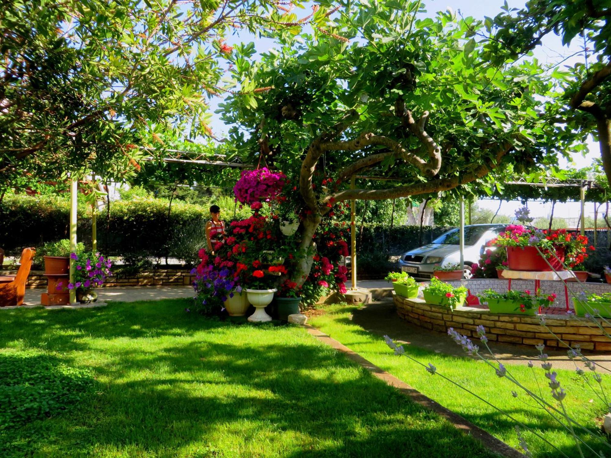 Beach Apartment Roza Biograd Oneroom - Premium Location Biograd Na Moru Extérieur photo